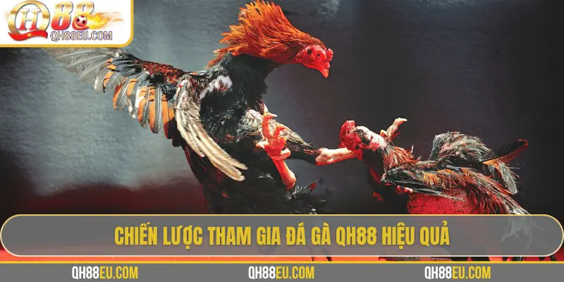 Đá Gà QH88 – Trải Nghiệm Cá Cược Sôi Động Cho Người Chơi Đam Mê - qovix