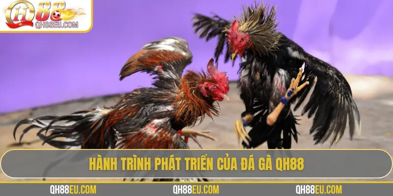 Đá Gà QH88 – Trải Nghiệm Cá Cược Sôi Động Cho Người Chơi Đam Mê - qovix