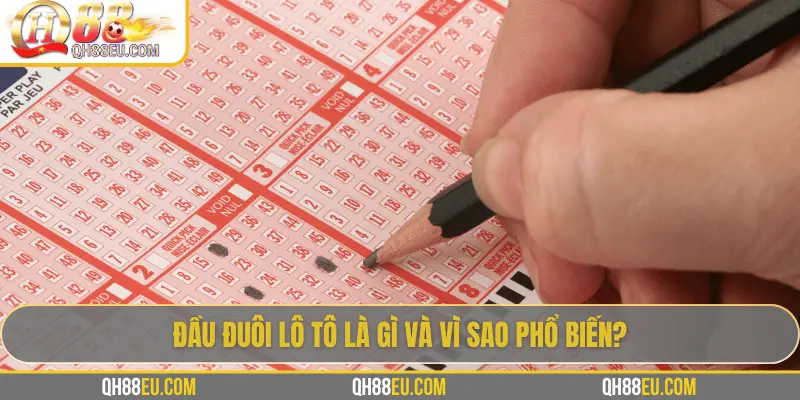 Đầu Đuôi Lô Tô: Cách Chơi Và Kinh Nghiệm Thực Tế Từ Chuyên Gia QH88 - qovix