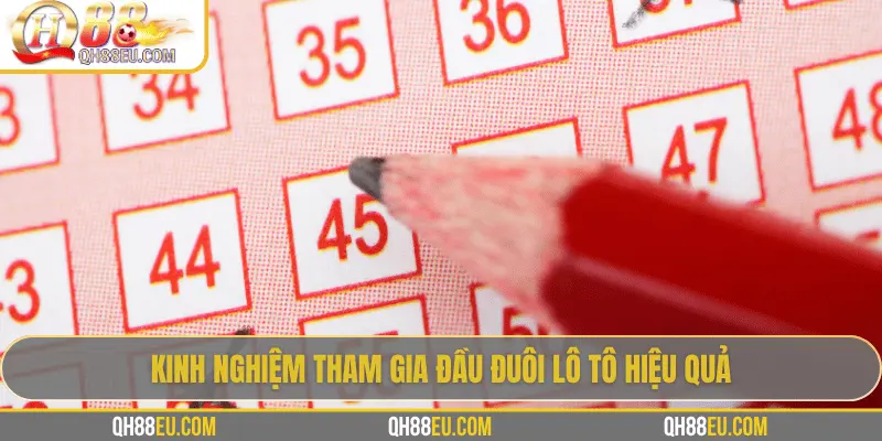 Đầu Đuôi Lô Tô: Cách Chơi Và Kinh Nghiệm Thực Tế Từ Chuyên Gia QH88 - qovix