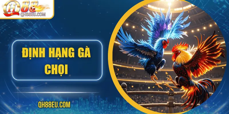 Đá Gà QH88 – Trải Nghiệm Cá Cược Sôi Động Cho Người Chơi Đam Mê - qovix