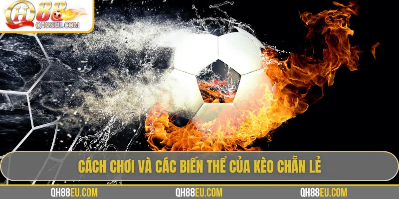Kèo Chẵn Lẻ: Hướng Dẫn Cách Cược Dễ Thắng Tại QH88 - qovix