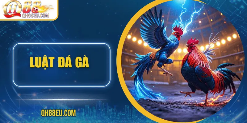QH88 Chia Sẻ Luật Đá Gà Chuẩn Nhất Cho Người Chơi - qovix