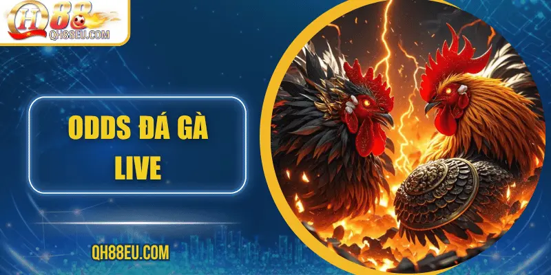 Odds Đá Gà Live – Cập Nhật Tỷ Lệ Chuẩn Xác Siêu Lợi Nhuận Tại QH88 - qovix