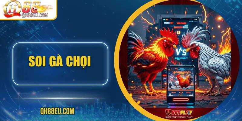 Đá Gà QH88 – Trải Nghiệm Cá Cược Sôi Động Cho Người Chơi Đam Mê - qovix