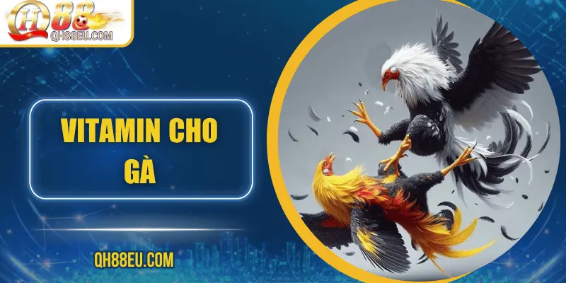 Đá Gà QH88 – Trải Nghiệm Cá Cược Sôi Động Cho Người Chơi Đam Mê - qovix