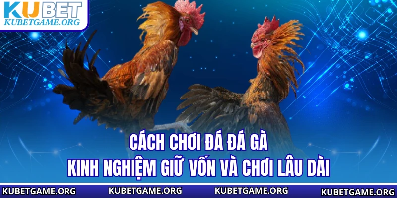 Tin Tức - kubet - qovix