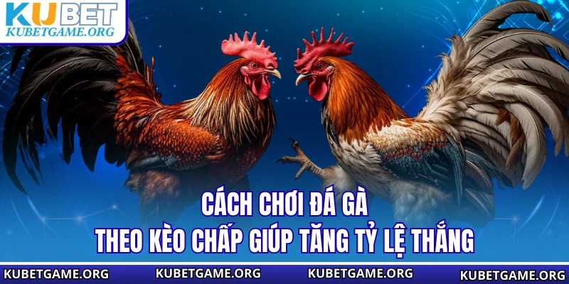 Cách Chơi Đá Đá Gà - Kinh Nghiệm Giữ Vốn Và Chơi Lâu Dài - qovix