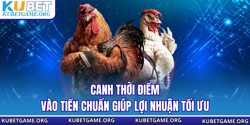 Đá Gà Tho Mo - Hướng Dẫn Tham Gia Và Cược Gà An Toàn Năm 2026 - qovix