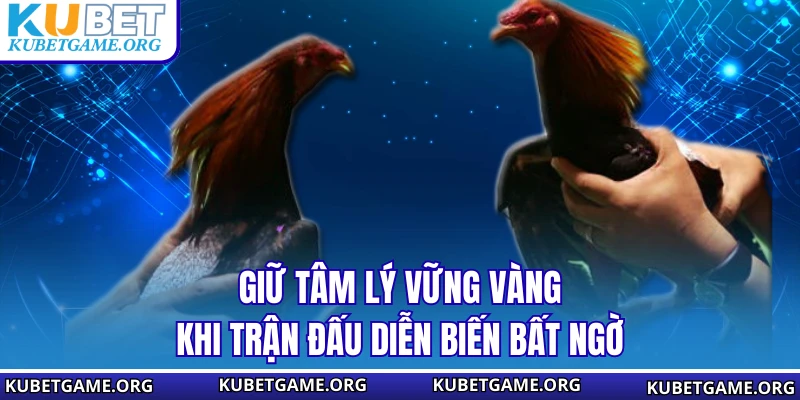 Cách Chơi Đá Đá Gà - Kinh Nghiệm Giữ Vốn Và Chơi Lâu Dài - qovix