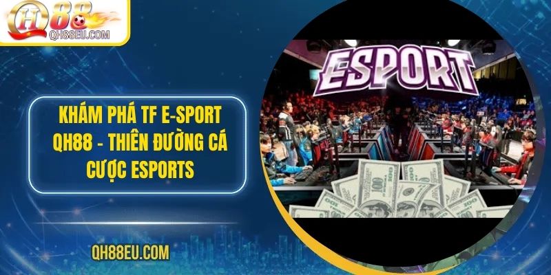 Khám Phá TF E-SPORT – Thiên Đường Cá Cược Esports Tại QH88 - qovix