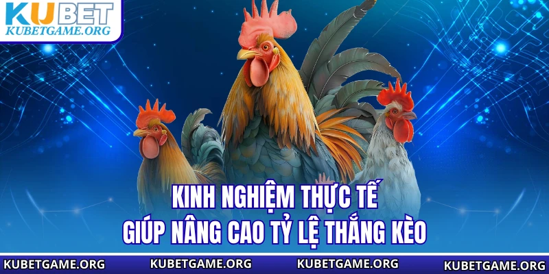 Đá Gà Cựa Sắt KUBET - Đỉnh Cao Cá Cược Kịch Tính Nhất 2026 - qovix