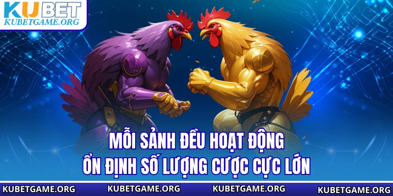 Đá Gà KUBET - Các Hình Thức Cược Gà Được Ưa Chuộng Năm 2026 - qovix