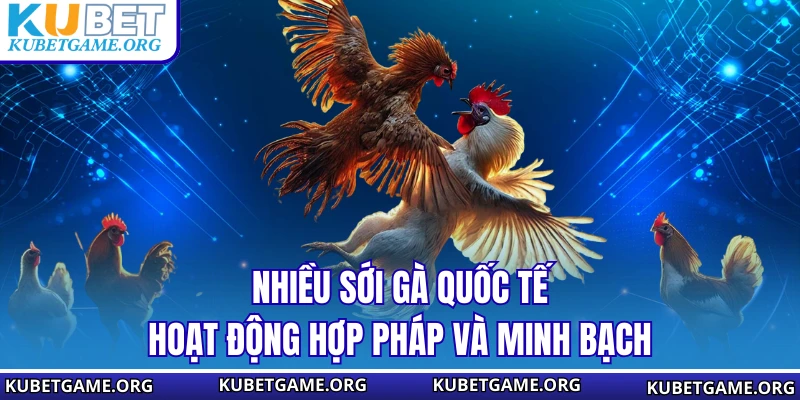 Cách Chơi Đá Đá Gà - Kinh Nghiệm Giữ Vốn Và Chơi Lâu Dài - qovix