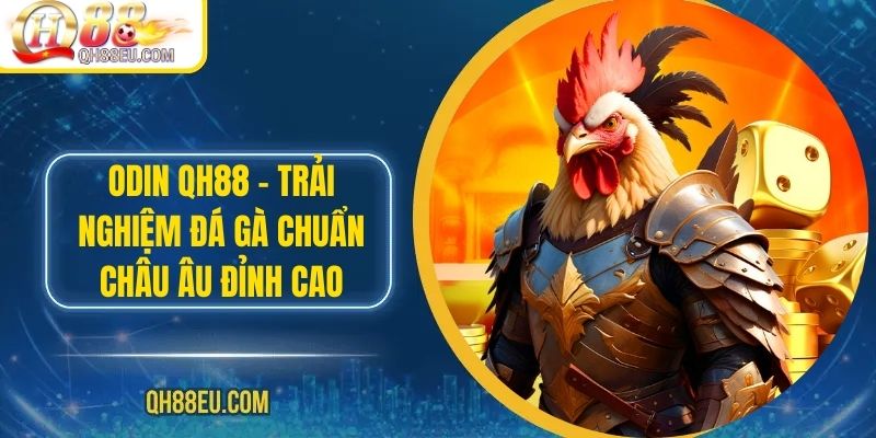 ODIN QH88 – Trải Nghiệm Đá Gà Chuẩn Châu Âu Đỉnh Cao - qovix