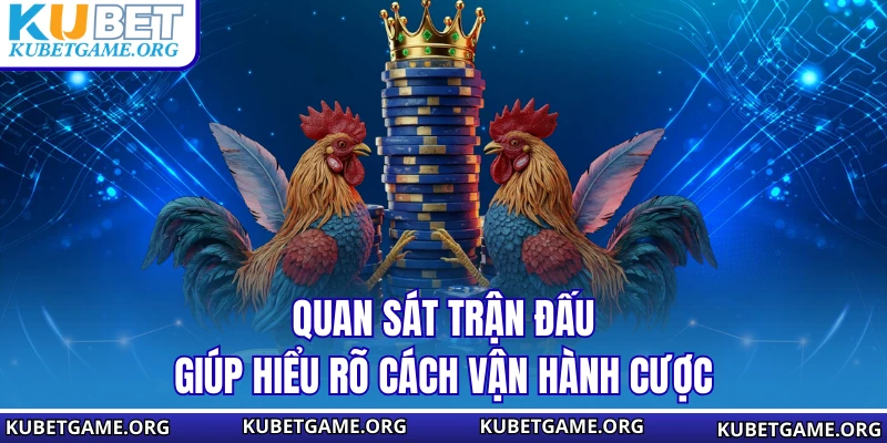 Đá Gà Tho Mo - Hướng Dẫn Tham Gia Và Cược Gà An Toàn Năm 2026 - qovix