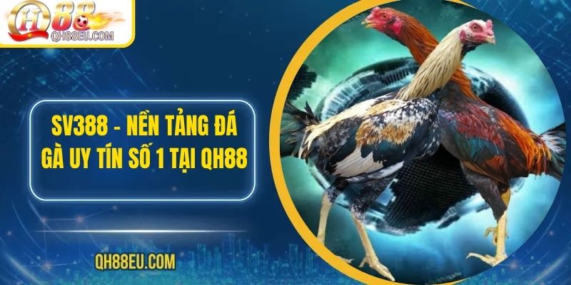 SV388 – Nền Tảng Đá Gà Uy Tín Số 1 Tại QH88 - qovix