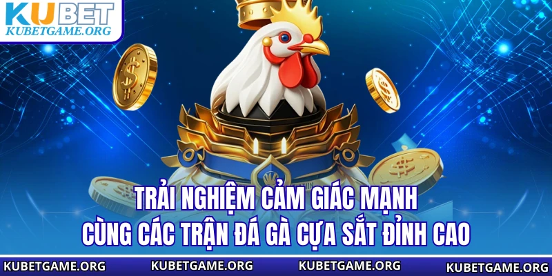 Đá Gà Cựa Sắt KUBET - Đỉnh Cao Cá Cược Kịch Tính Nhất 2026 - qovix
