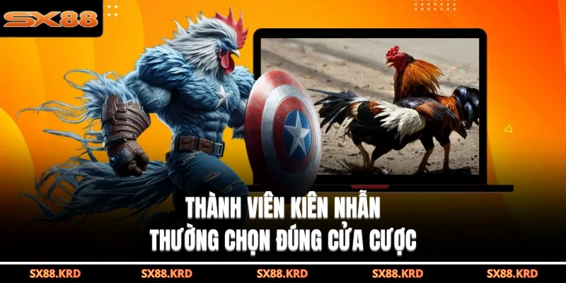 Đá Gà Campuchia Hấp Dẫn Với Nhiều Hình Thức Khác Nhau - qovix