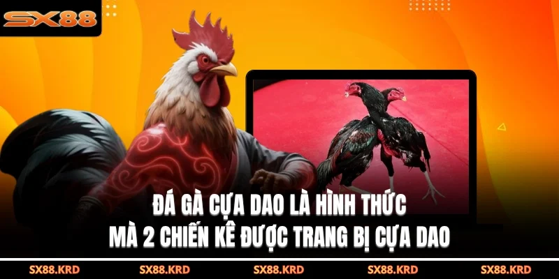 Đá Gà Cựa Dao - Mãn Nhãn Với Các Trận Đấu Kịch Tính Nhất - qovix