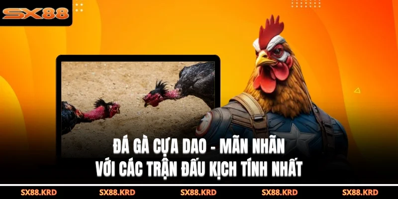Đá Gà SX88 - Sảnh Cược Trực Tuyến Uy Tín Và Hấp Dẫn - qovix