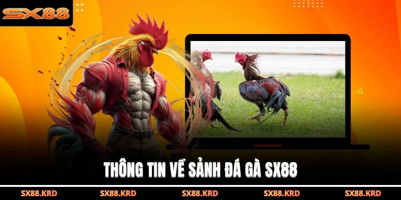 Đá Gà SX88 - Sảnh Cược Trực Tuyến Uy Tín Và Hấp Dẫn - qovix