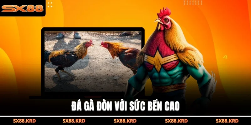 Đá Gà Trực Tiếp SX88 Đem Đến Trận Đấu Gay Cấn Mãn Nhãn - qovix