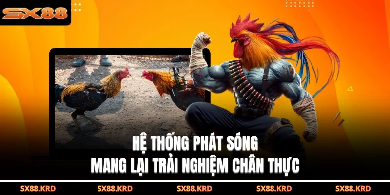 Đá Gà Trực Tiếp SX88 Đem Đến Trận Đấu Gay Cấn Mãn Nhãn - qovix