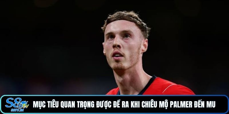 Palmer Đến MU Liệu Có Phá Vỡ Kỷ Lục Chuyển Nhượng 120 Triệu - qovix Palmer Đến MU Liệu Có Phá Vỡ Kỷ Lục Chuyển Nhượng 120 Triệu - qovix