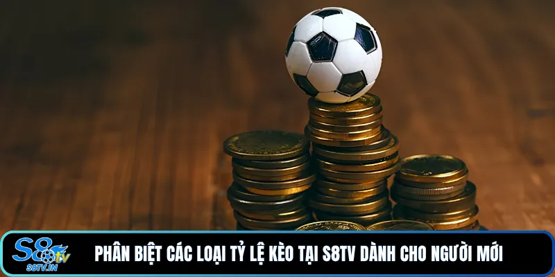 Tỷ Lệ Kèo Chuẩn Xác Cùng S8TV - Chìa Khóa Vàng Chiến Thắng - qovix Tỷ Lệ Kèo Chuẩn Xác Cùng S8TV - Chìa Khóa Vàng Chiến Thắng - qovix