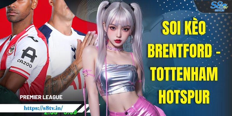 Tin Tức S8TV - Cập Nhật Nhanh Thông Tin Thể Thao 24/7  - qovix