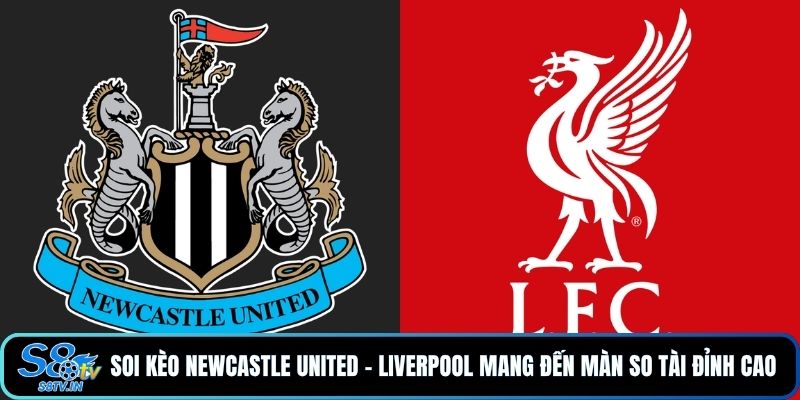 Soi Kèo Newcastle United - Liverpool Qua 90 Phút Cực Căng - qovix Soi Kèo Newcastle United - Liverpool Qua 90 Phút Cực Căng - qovix